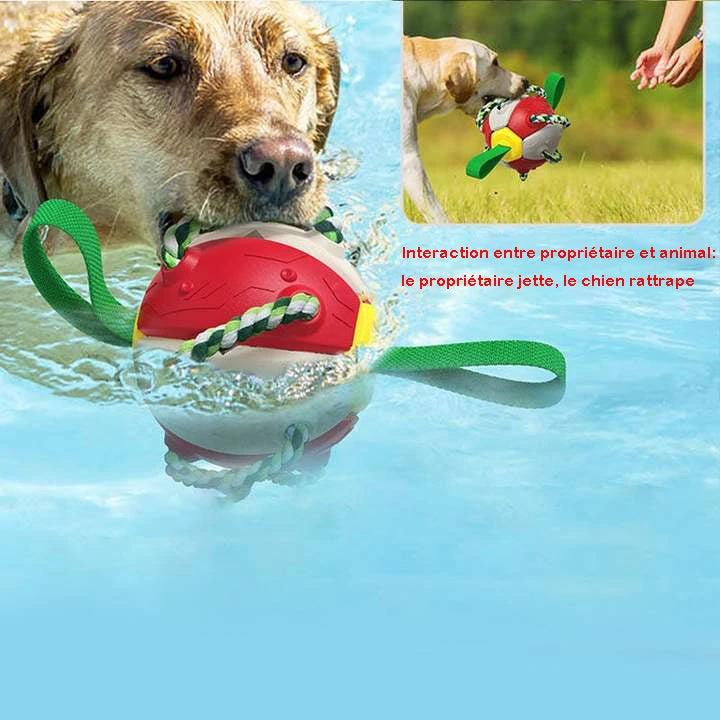 Dog toy balls UFO Magic Ball by Bowlift