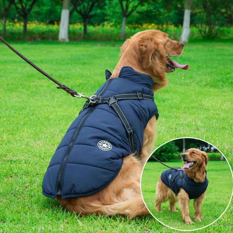 Winter coat with zipper for dogs by Bowlift