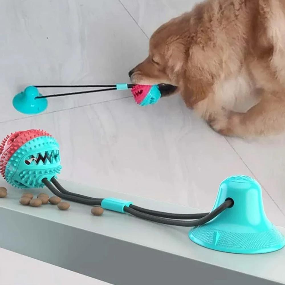 Dog suction cup toy by Bowlift