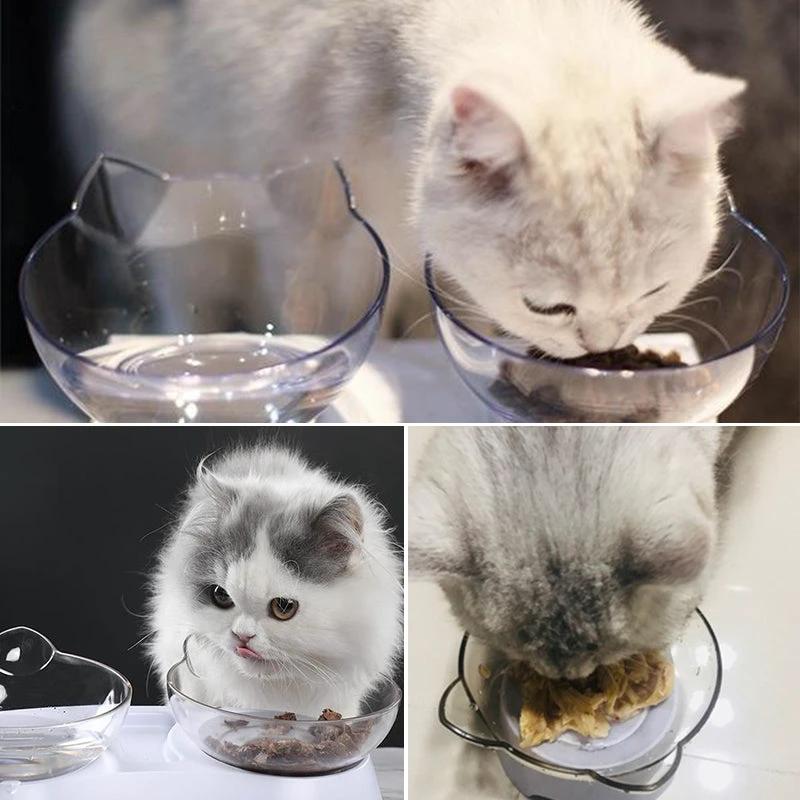 Feeding bowl for cats by Bowlift