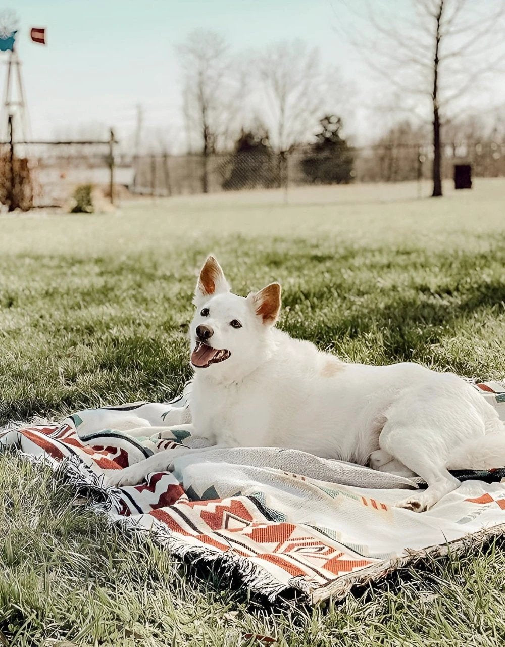 Bohemian Chic Picnic Mat by Casa & Beyond