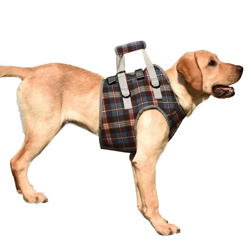 Orthopedic strap for hind legs by Bowlift