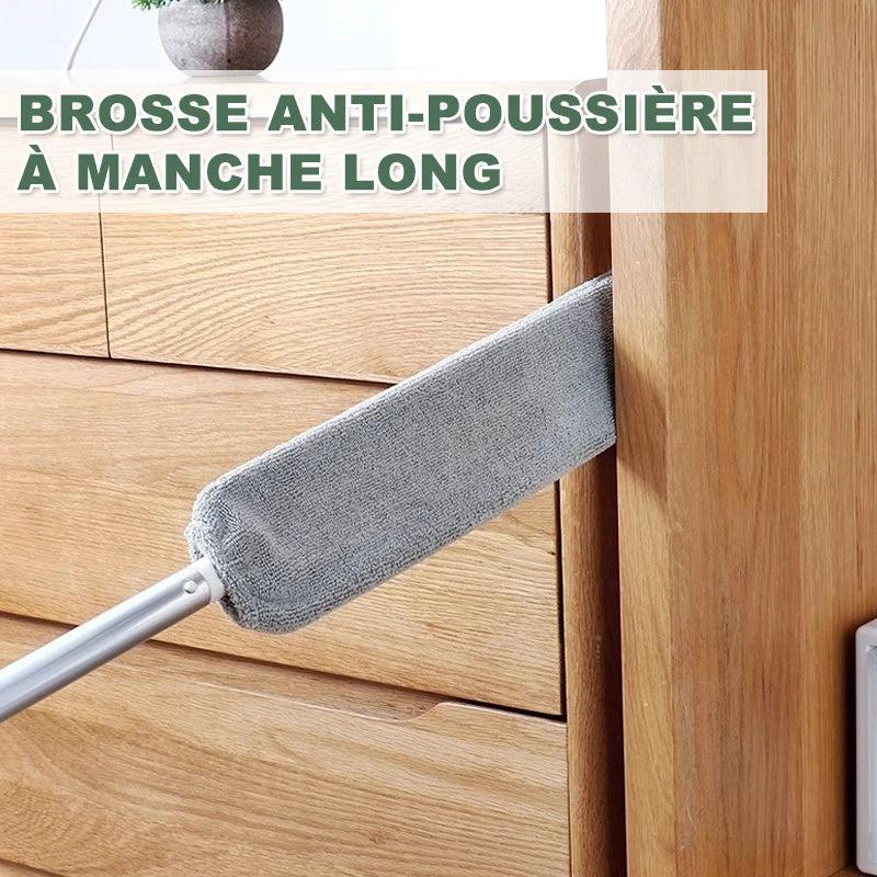 Dust broom with long handle by Bowlift