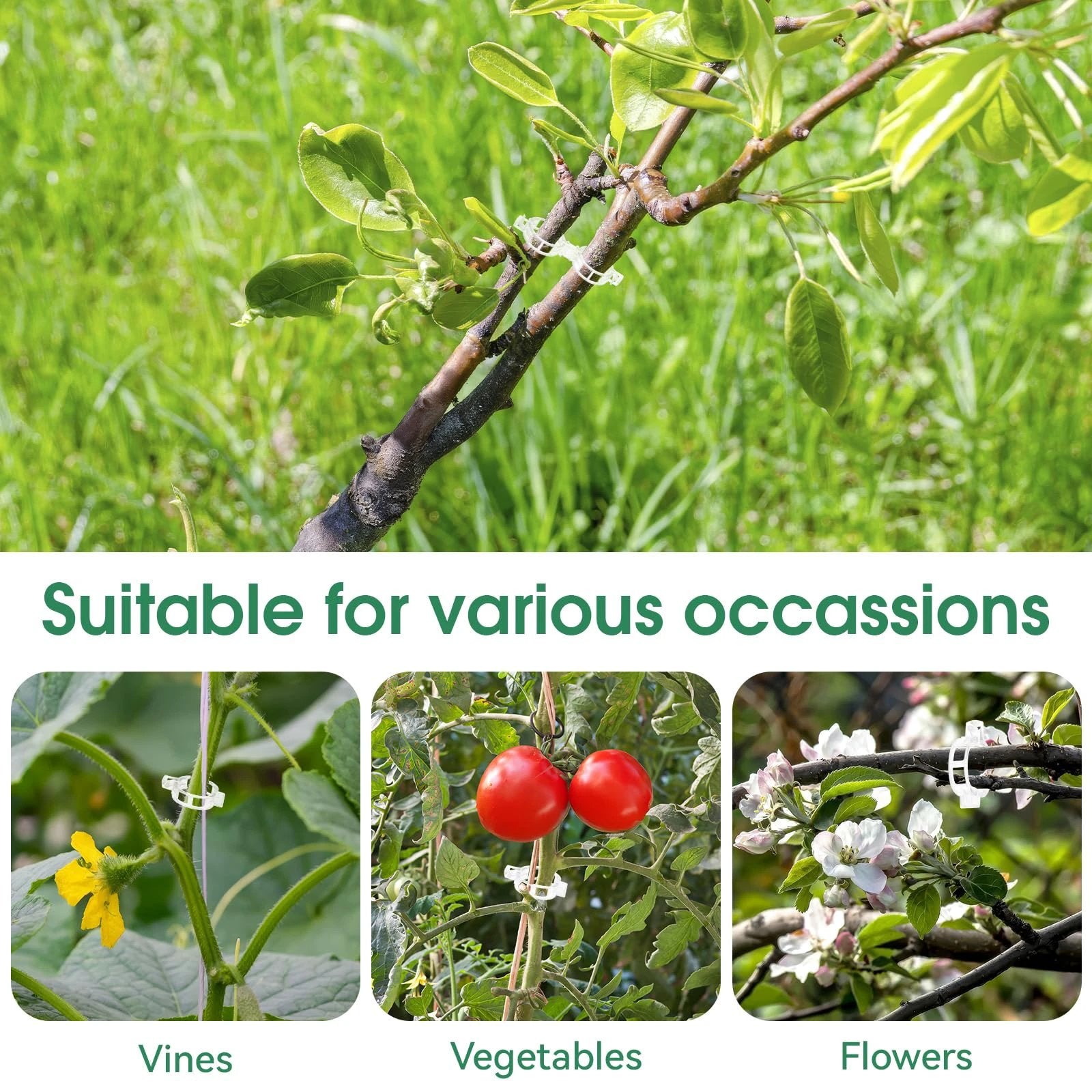 Tomato Clips, Plastic Trellis Clips by BowLift