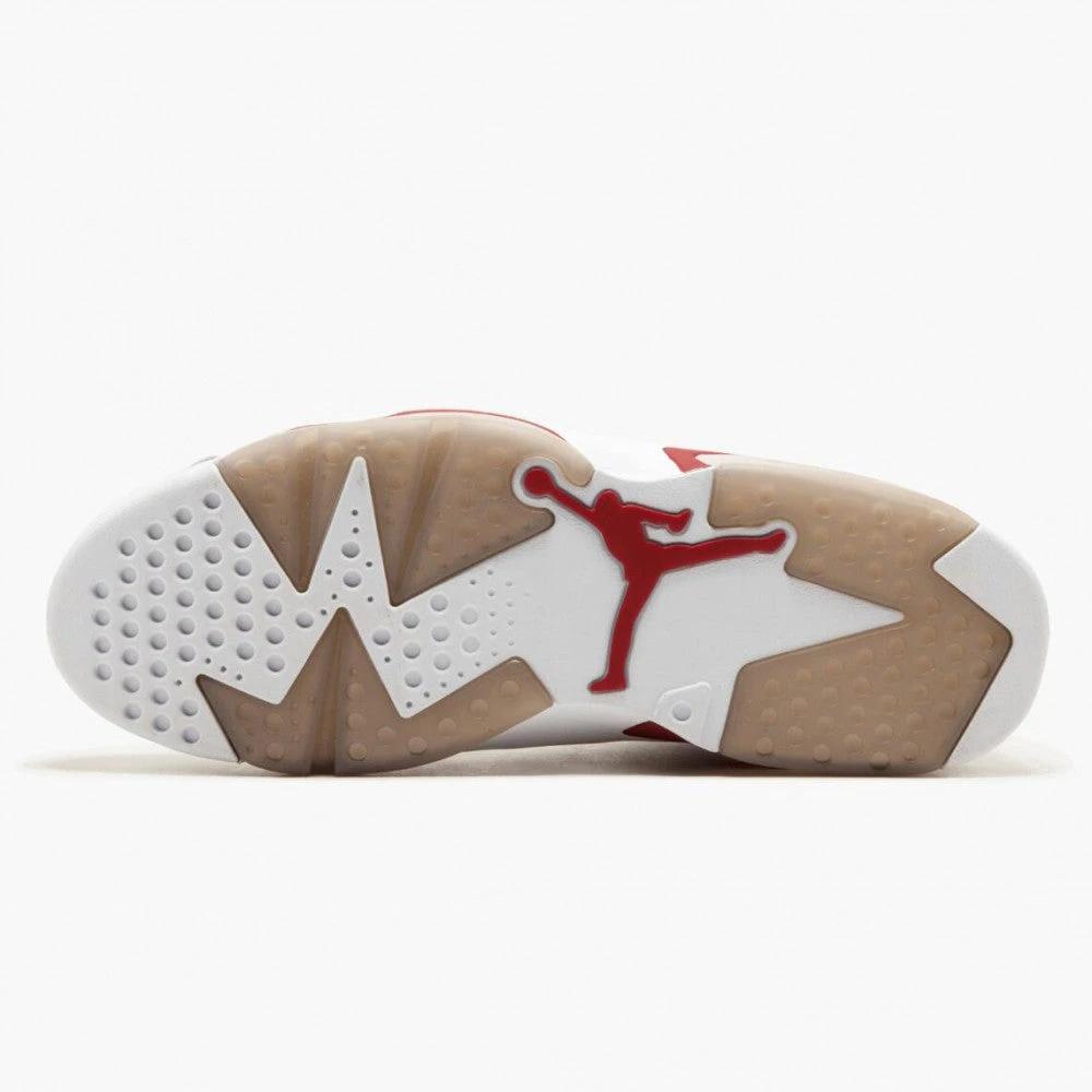 Air Jordan Retro 6 Alternate by Air Jordan