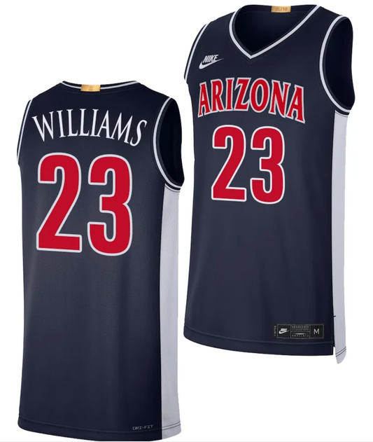 Arizona Wildcats Derrick Williams Jersey #23 Limited Retro Basketball 2023-24 Navy by My store basketball