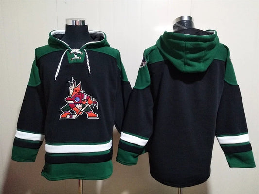 Arizona Coyotes Team Blank Pullover Hoodie by Hoodie Pullover