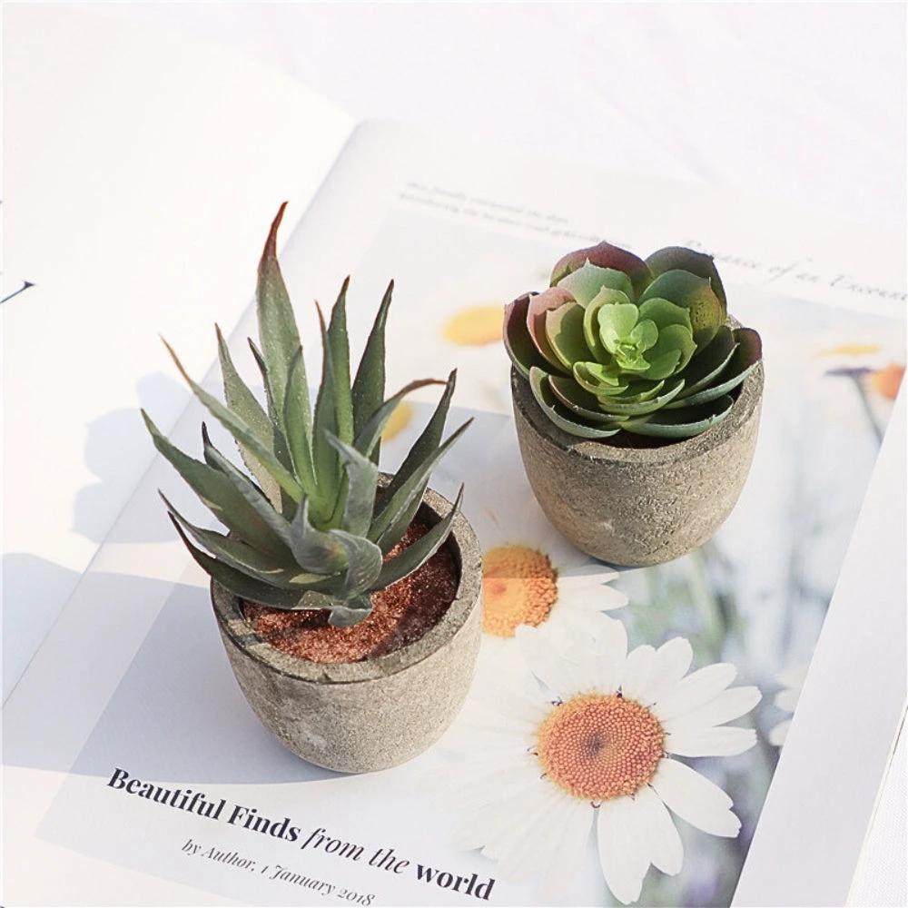 Verdea Artificial Succulent Plant Decor by Casa & Beyond