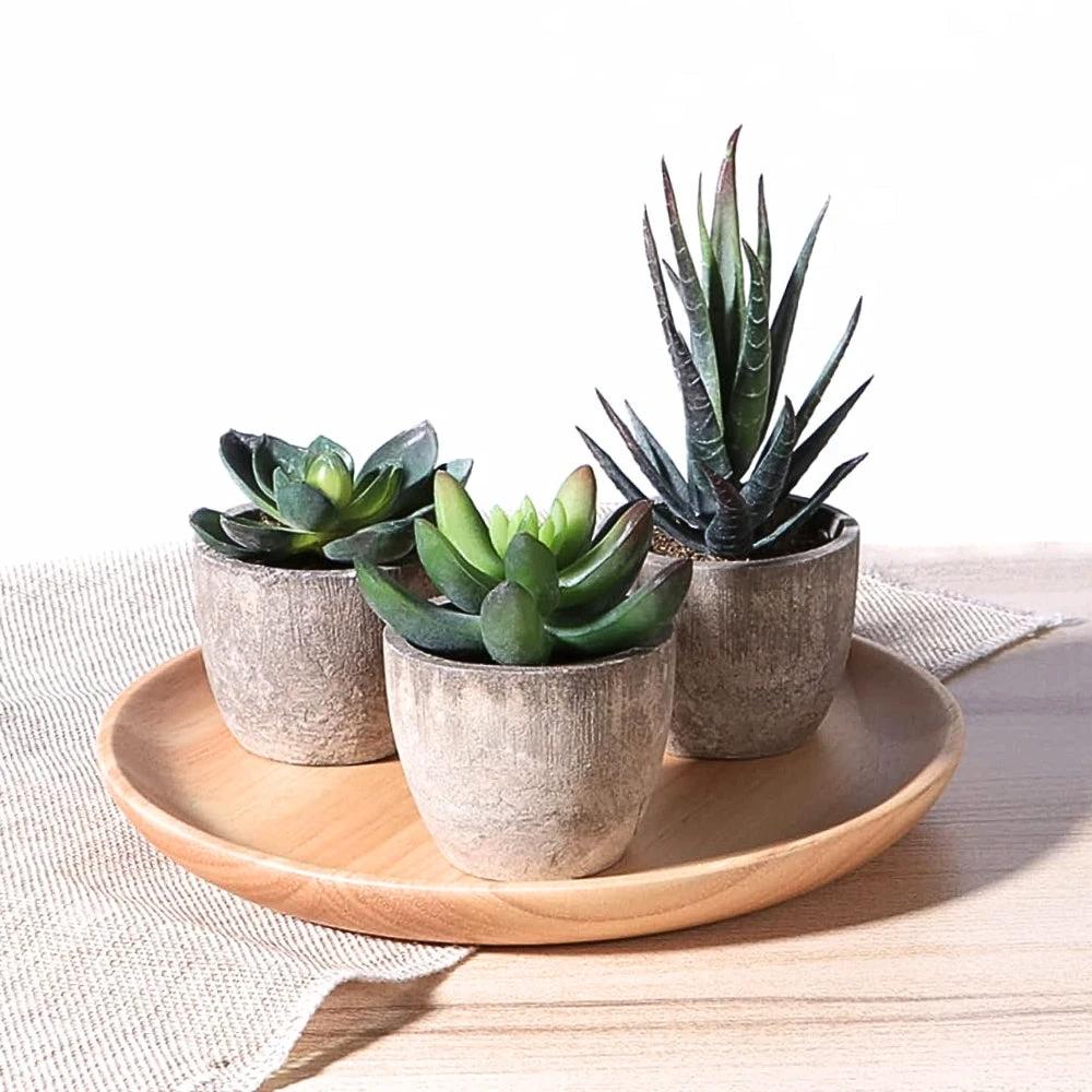 Verdea Artificial Succulent Plant Decor by Casa & Beyond