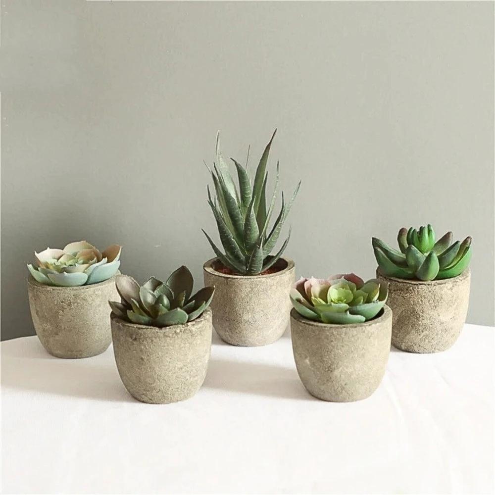 Verdea Artificial Succulent Plant Decor by Casa & Beyond