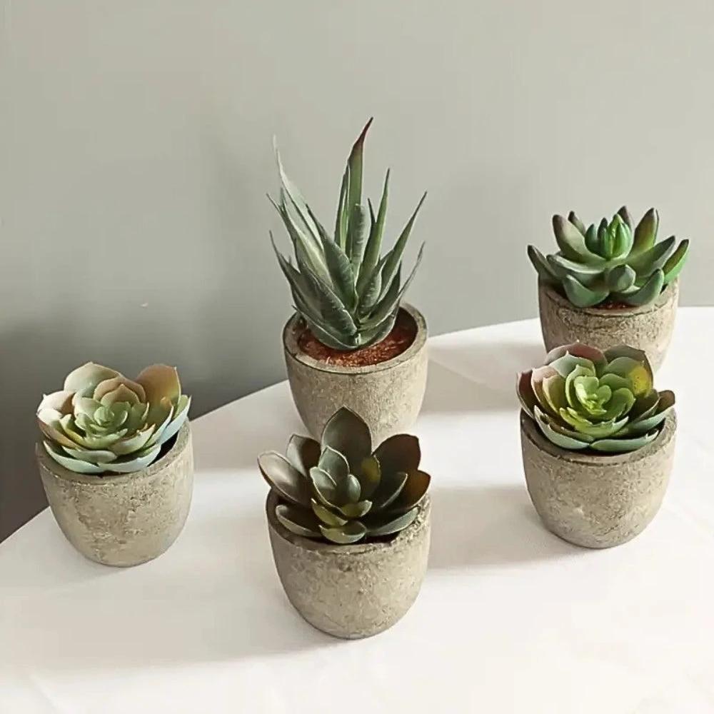 Verdea Artificial Succulent Plant Decor by Casa & Beyond
