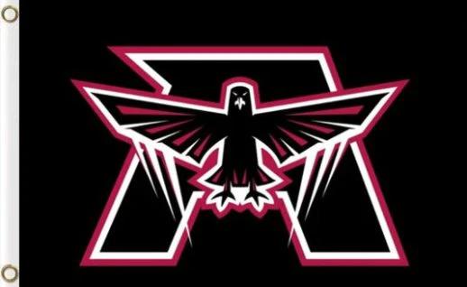 Atlanta Falcons Black US Flag 3X5 Ft Polyester Banner USA 90x150cm by flagsjustdoit