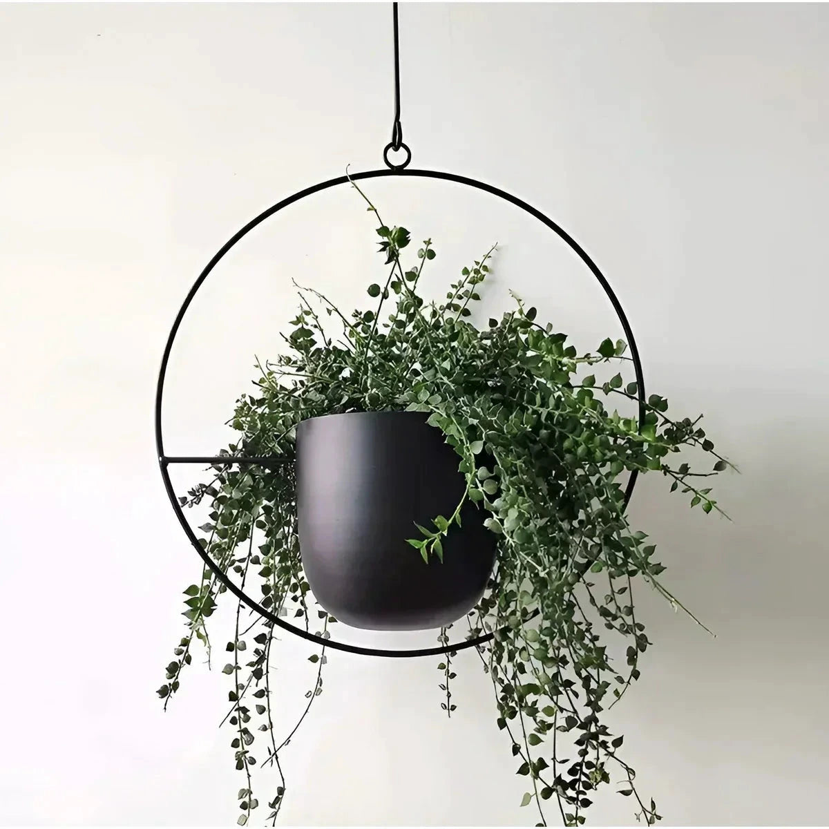 PetalAura - Verdura Oasis Plant Pot Bowlift by Bowlift