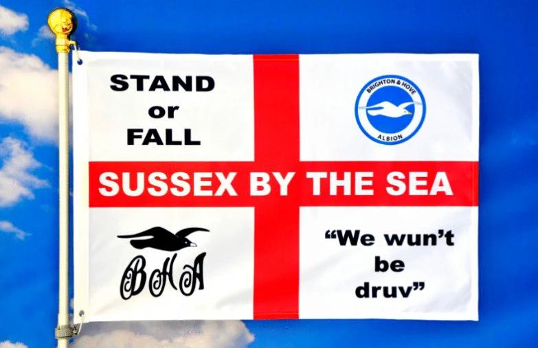 Brighton Football Club Flag Stand or Fall 3x5ft Banner polyester by flagsjustdoit