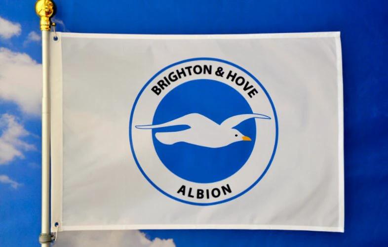 Brighton Football Club Flag White 3x5ft Banner polyester by flagsjustdoit