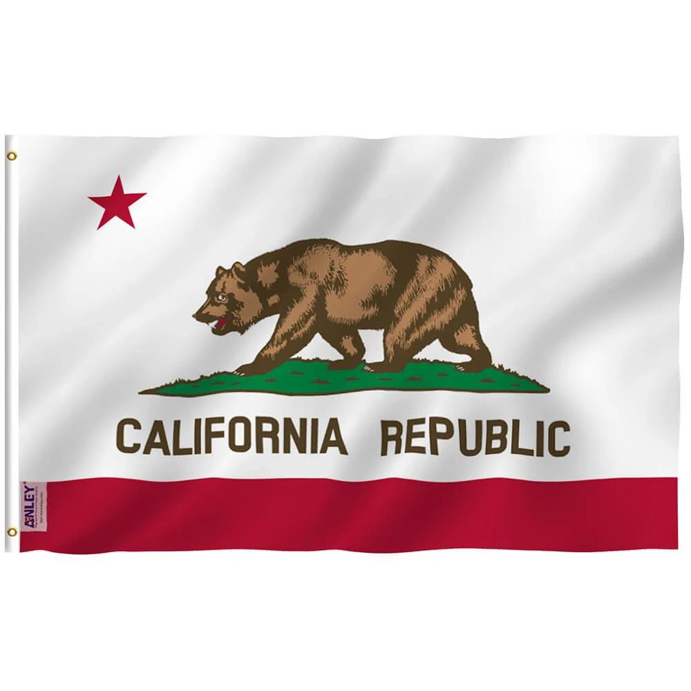 California State Flag - Calif. CA Flag Polyester with Brass Grommets 3X5Ft Banner USA by flagsjustdoit