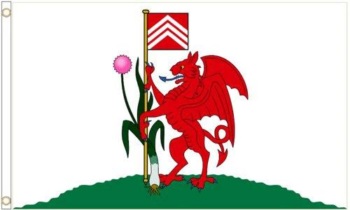 Cardiff City Wales Flag 3x5ft Banner Polyester by flagsjustdoit