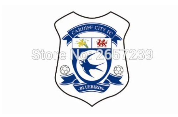Cardiff City FC Wales Flag Welsh Dragon Banner-3x5 FT Australian New South Wales Banner-100% polyester-2 Metal Grommets by flagsshop