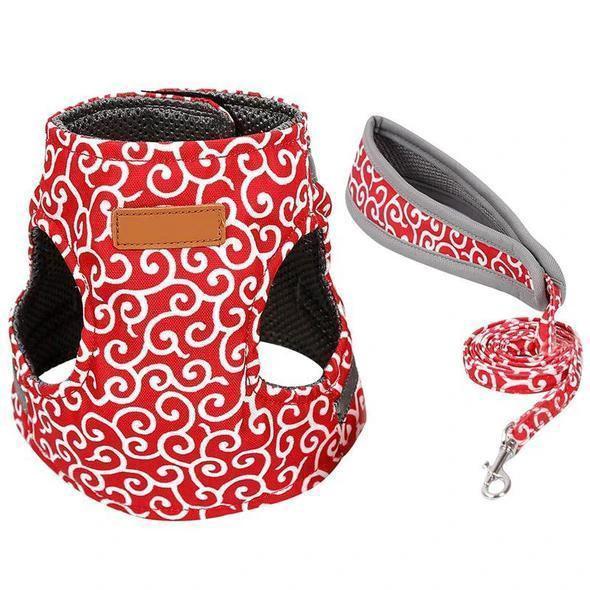 Collar jacket and leash for cat by Bowlift