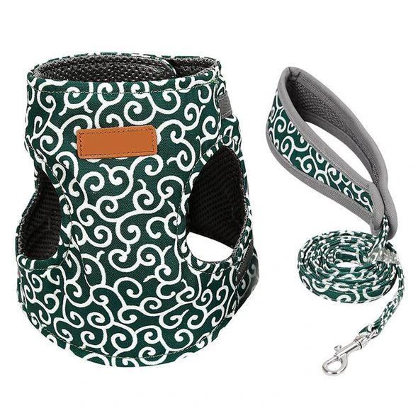 Collar jacket and leash for cat by Bowlift