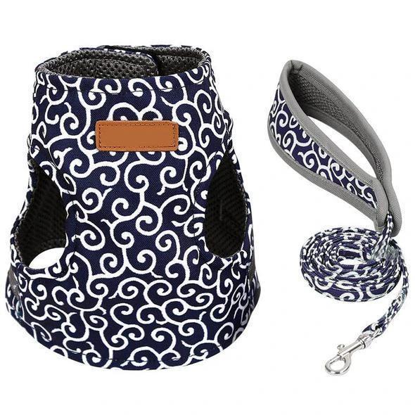Collar jacket and leash for cat by Bowlift