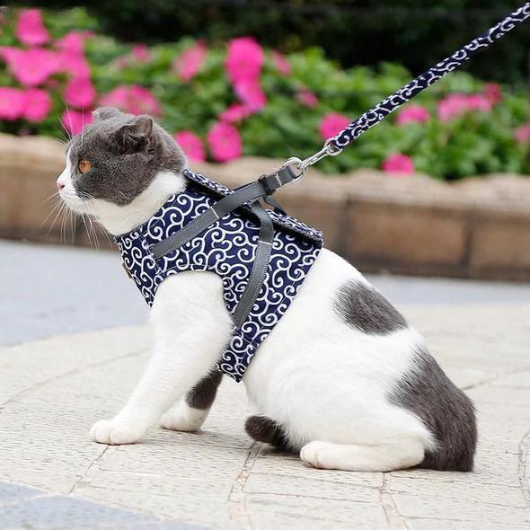Collar jacket and leash for cat by Bowlift