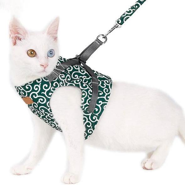 Collar jacket and leash for cat by Bowlift
