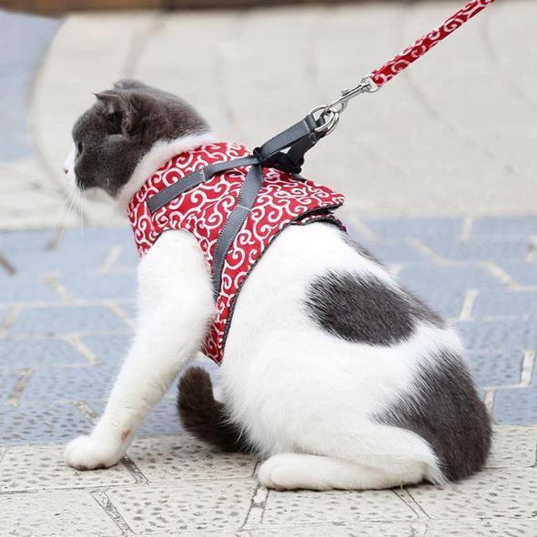 Collar jacket and leash for cat by Bowlift