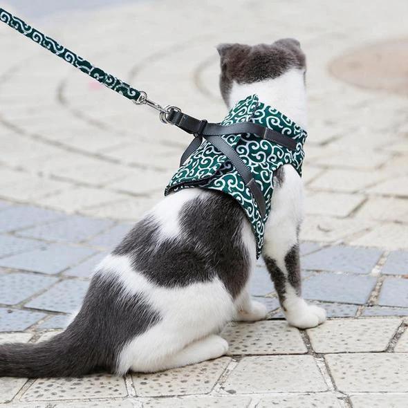 Collar jacket and leash for cat by Bowlift