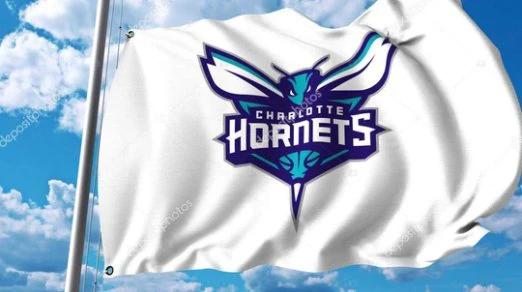 Charlotte Hornets Custom Flag 3X5Ft Polyester Banner USA Digital Print by flagsjustdoit