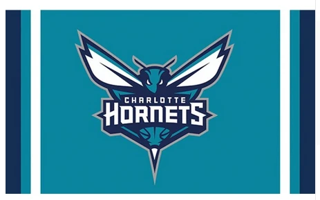 Charlotte Hornets Flag-3x5FT Banner-100% polyester by flagsshop