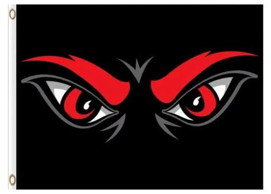 Cincinnati Bearcats Hand Black Flag 3X5ft Banner USA Polyester with 2 Brass Grommets by flagsjustdoit