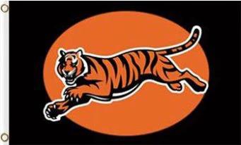 Cincinnati Bengals Club Flag 3X5 Ft Polyester Banner USA 90x150cm by flagsjustdoit