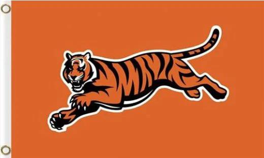 Cincinnati Bengals National Flag 3X5 Ft Polyester Banner USA 90x150cm by flagsjustdoit