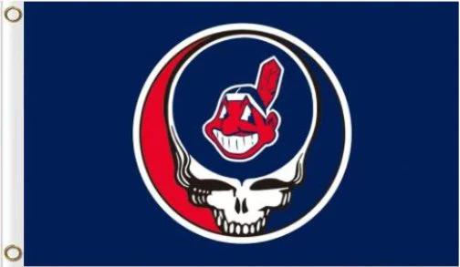 Cleveland Indians Dead Skull Blue flag 3X5Ft Banner USA Polyester with Brass Grommets by flagsjustdoit