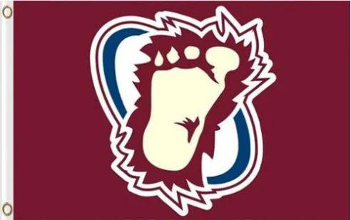 Colorado Avalanche Flag 3X5Ft Polyester Digital Print Banner USA by flagsjustdoit