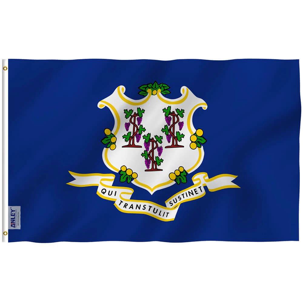 Connecticut State Polyester Flag - Connecticut CT Flag with Brass Grommets 3X5Ft Banner USA by flagsjustdoit