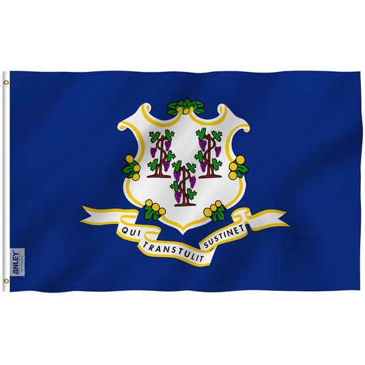 Connecticut State Polyester Flag - Connecticut CT Flag with Brass Grommets 3X5Ft Banner USA by flagsjustdoit