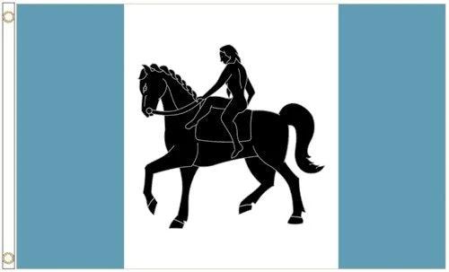 Coventry City Polyester White Flag 3x5ft Banner Polyester by flagsjustdoit
