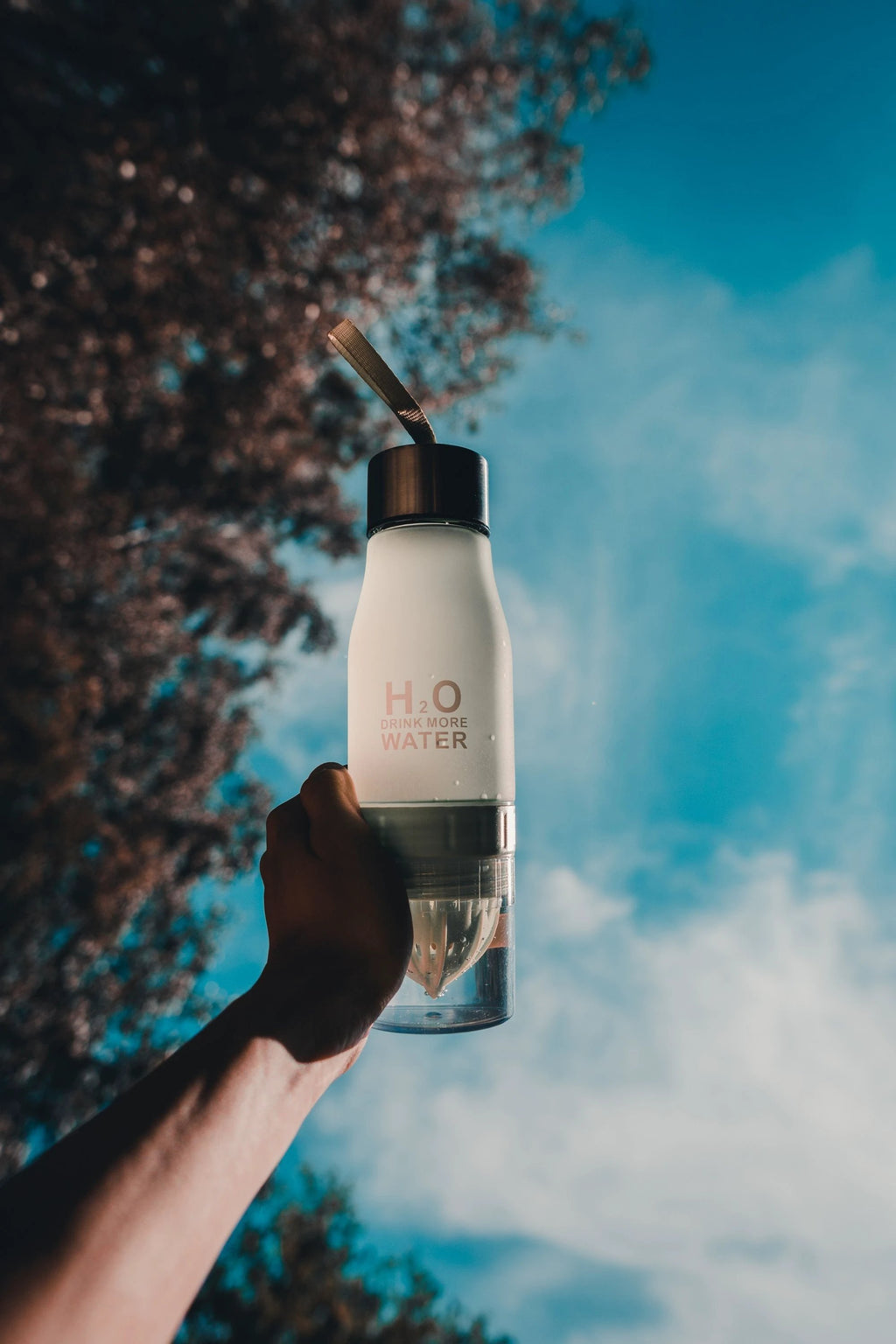 H²O Fruit Infusion Water Bottle by Bowlift