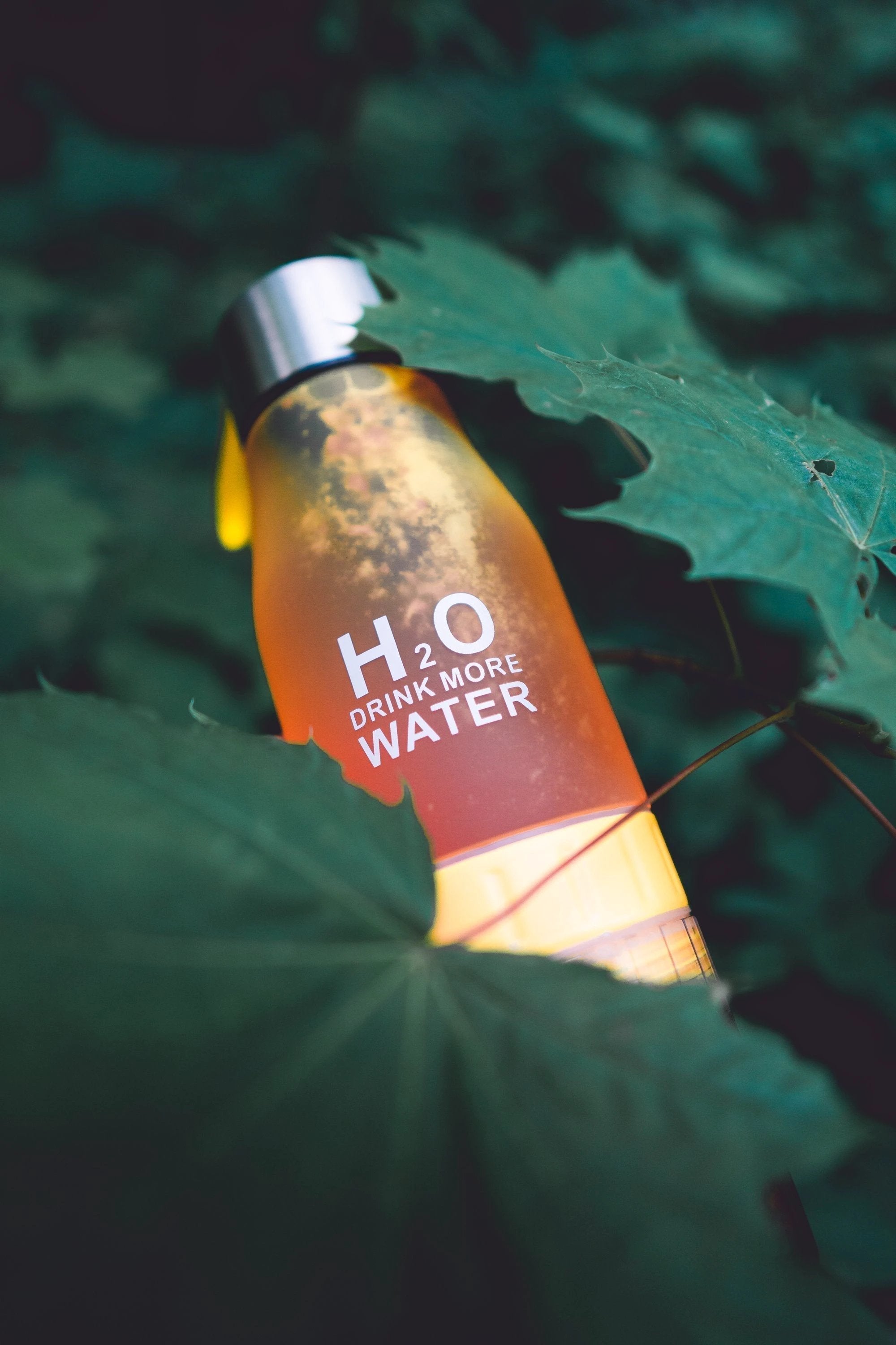 H²O Fruit Infusion Water Bottle by Bowlift