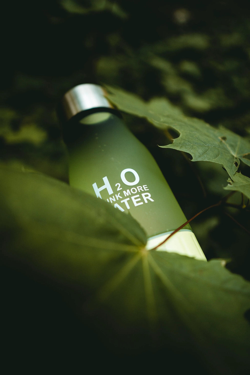 H²O Fruit Infusion Water Bottle by Bowlift