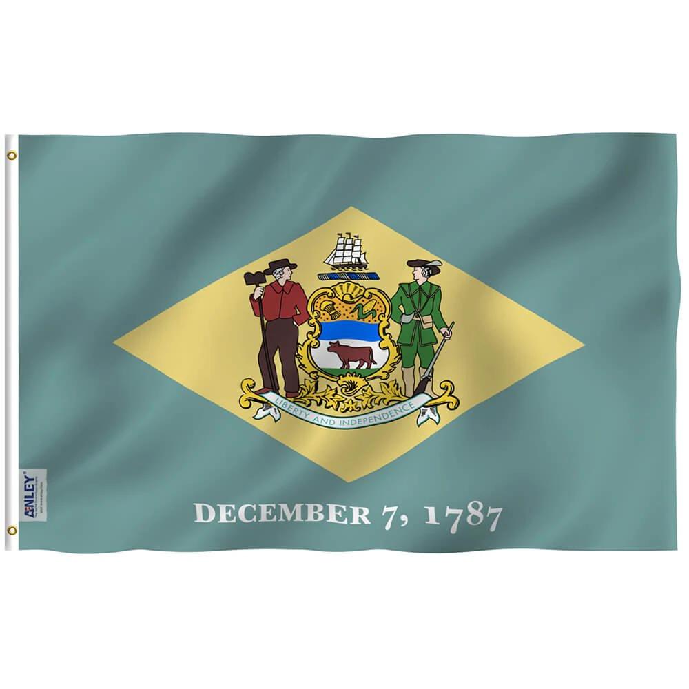 Delaware State Flag - Delaware DE Flag Polyester with Brass Grommets 3X5Ft Banner USA by flagsjustdoit