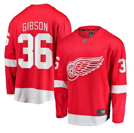 Detroit Red Wings #36 John Gibson Red Home Stitched Hockey Jersey by Hockey David