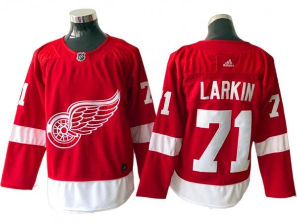 Detroit Red Wings #71 Dylan Larkin Red Home Jersey by Hockey David
