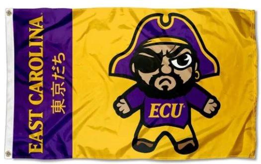 East Carolina Pirates USA Flag 3X5ft Banner USA Polyester with 2 Brass Grommets by flagsjustdoit