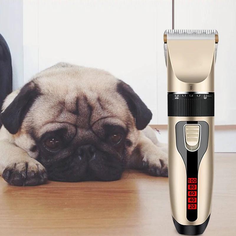 Professional Pet Grooming Set by Bowlift