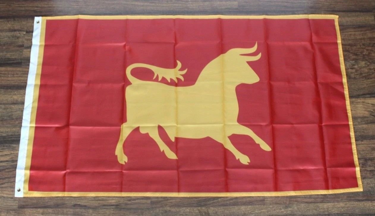 Fallout Caesar's Legion Banner Flag New Vegas Fall Out Caesars 3x5ft USA by flagsjustdoit