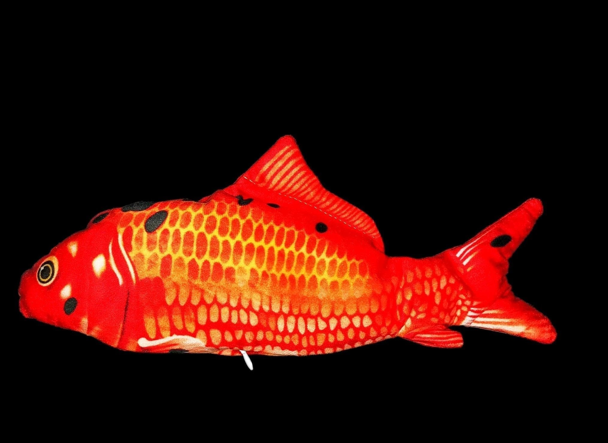 FishyMusic - Singing Dancing Fish by Bowlift