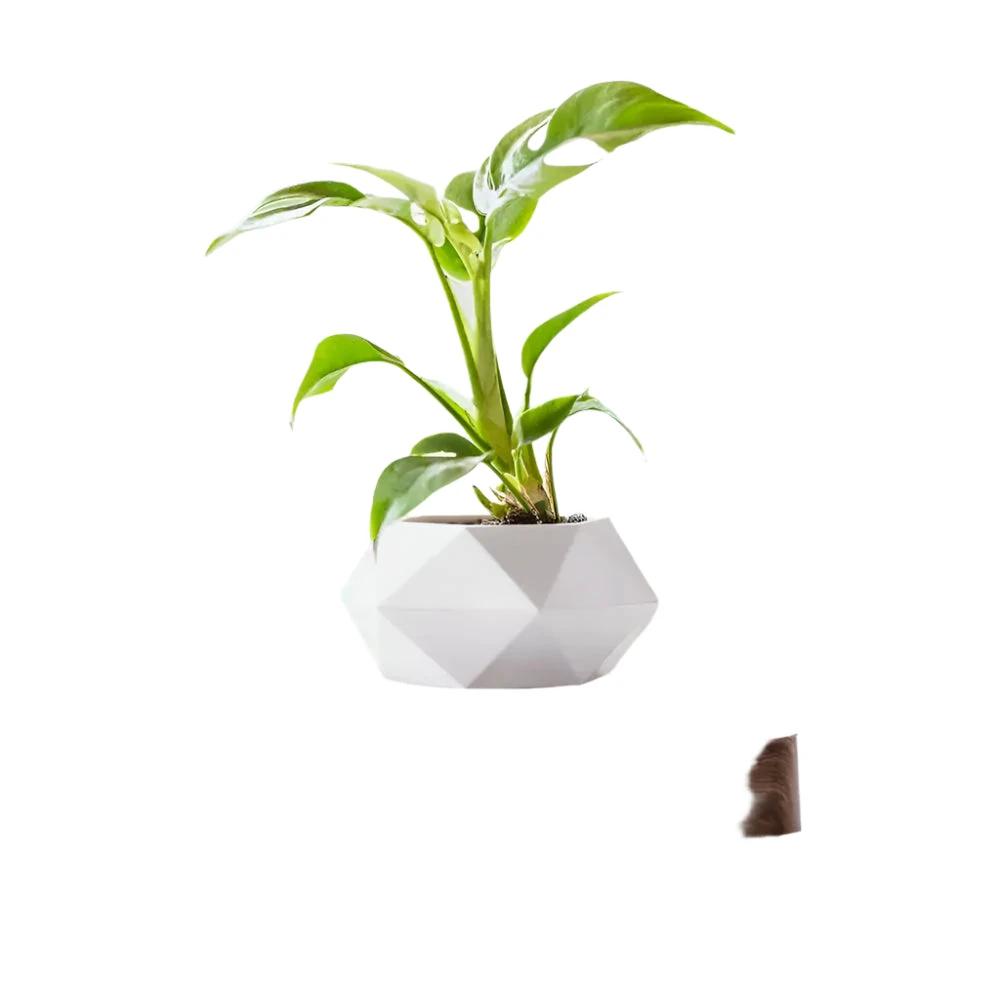 GeoSpin rotating geometric plant box Bowlift by Bowlift